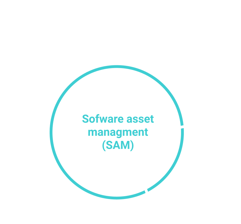 Sofware asset managment